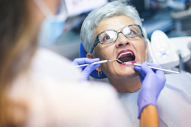Reliable Western Springs, IL Holistic Dental Care Services Solutions